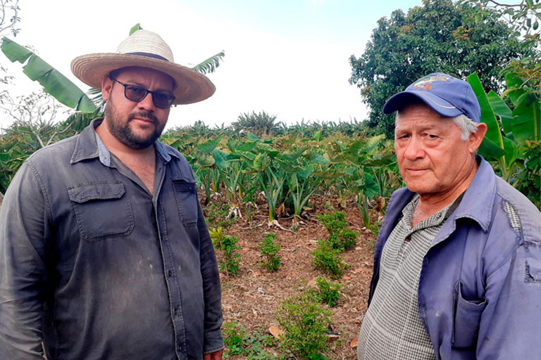 Pinar del Río: El tan mentado “milagro” de los Baños