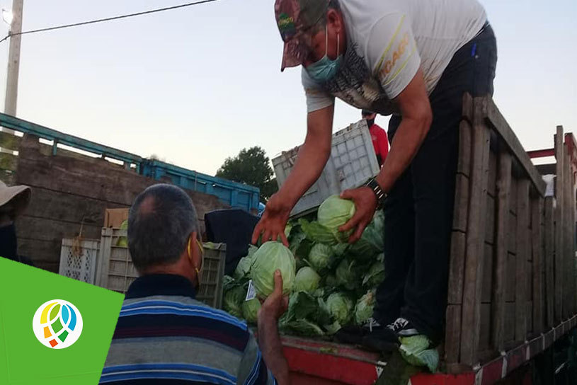 jornada sabatina Pinar del Río