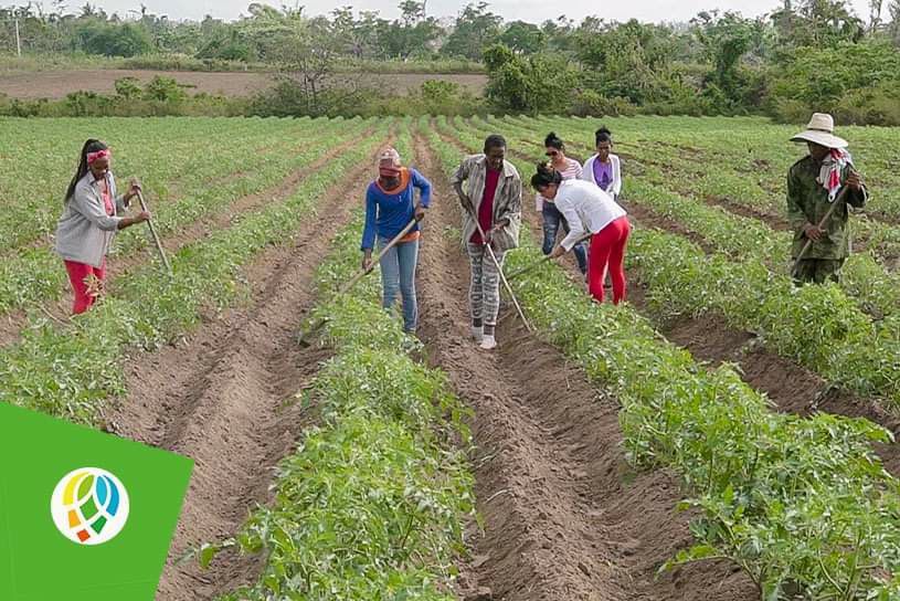 Finca los encinos, donde la voluntad deshace la inercia