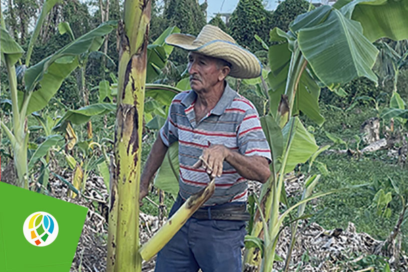 No hay huracán que pueda con la voluntad de un hombre