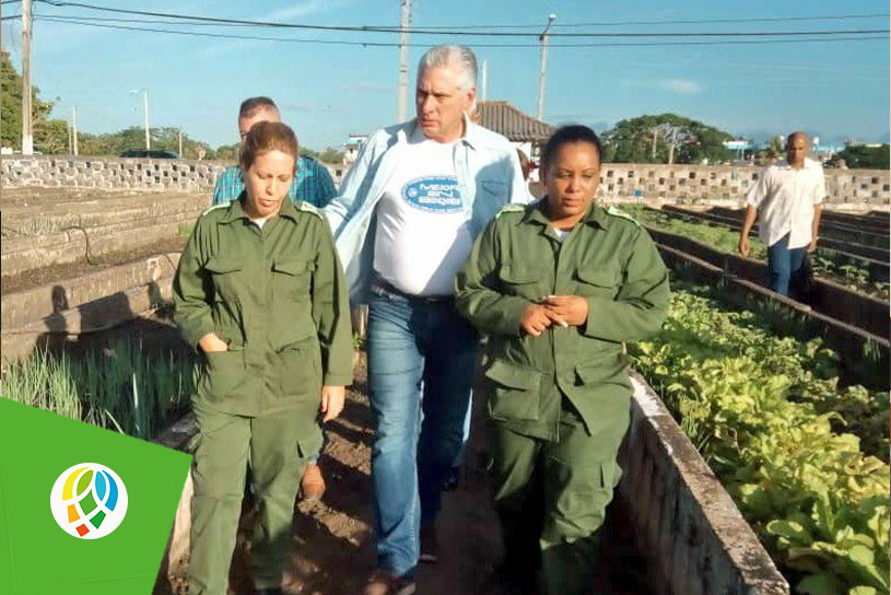 Por octava ocasión, el presidente Díaz-Canel chequea la recuperación en Pinar del Río