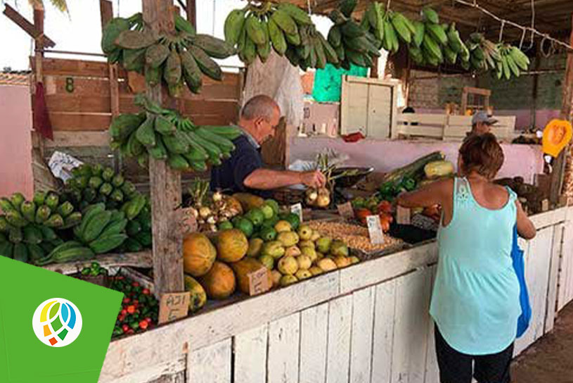Topan precios en Pinar del Río para la venta de productos agrícolas