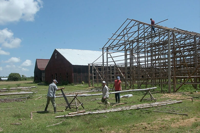 Vegueros y constructores en la recuperación de Pinar del Río