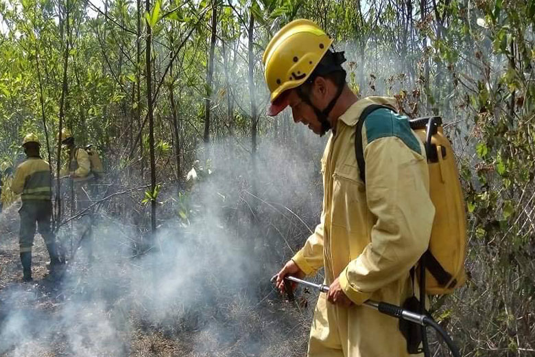 Realizaron en La Palma ejercicio contra incendios