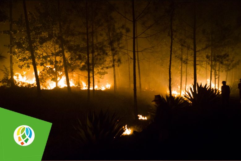 Incendio en Pinares de Mayarí