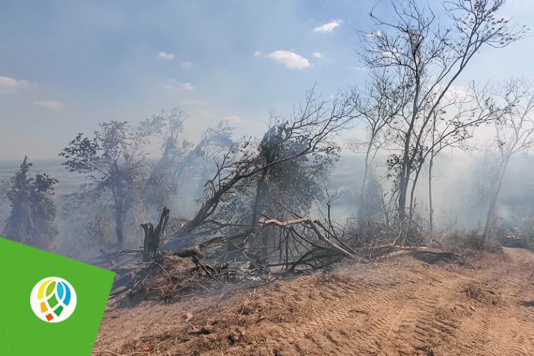 Alrededor de 100 hectáreas de bosque afectadas por incendio