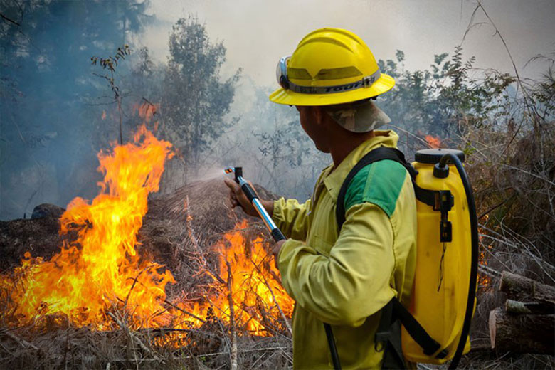 Prosigue enfrentamiento a incendio forestal en Pinares de Mayarí (+Fotos)
