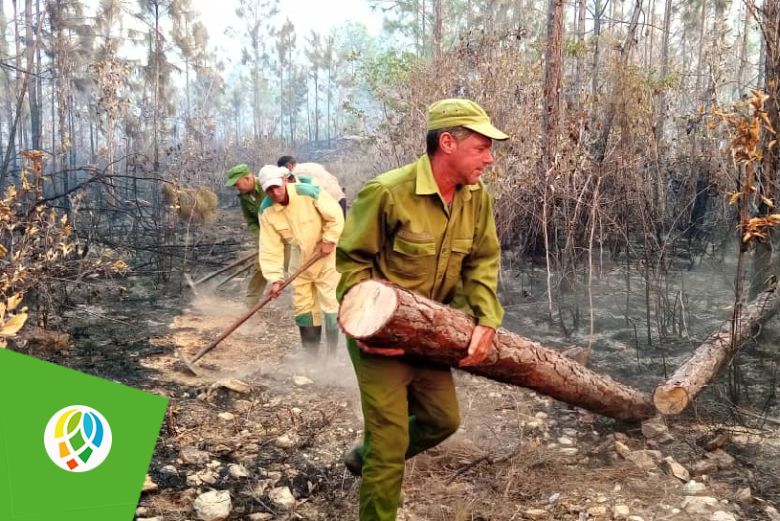 Fuerzas especializadas combaten incendio forestal de grandes proporciones