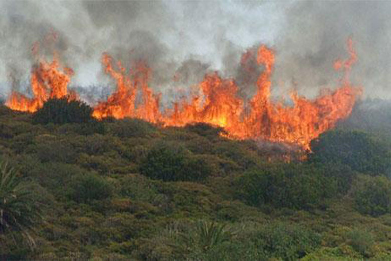 Combaten nuevo incendio en occidente de Cuba