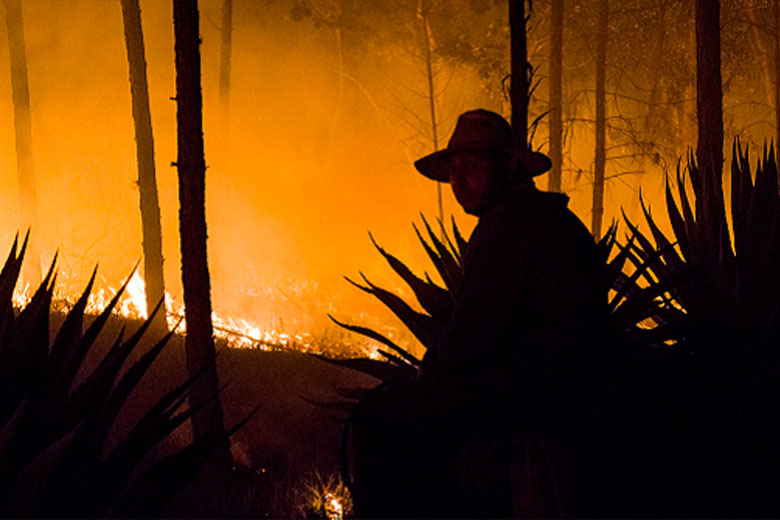 Cuba en datos: Incendios forestales, clima y acción humana