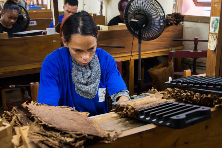 msg5314136051 6698 1