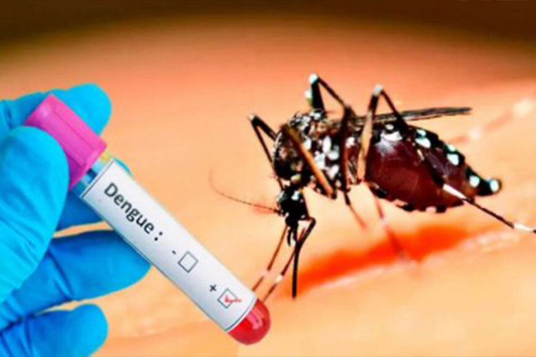 CIGB de Cuba inicia estudios preclínicos de vacuna contra el dengue