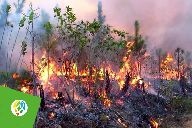 Continúa combate a incendio forestal en Pinar del Río