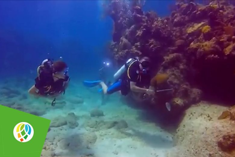 Especialistas del Parque Nacional Guanahacabibes desarrollan varias investigaciones en los fondos marinos de la Reserva de la Biosfera.