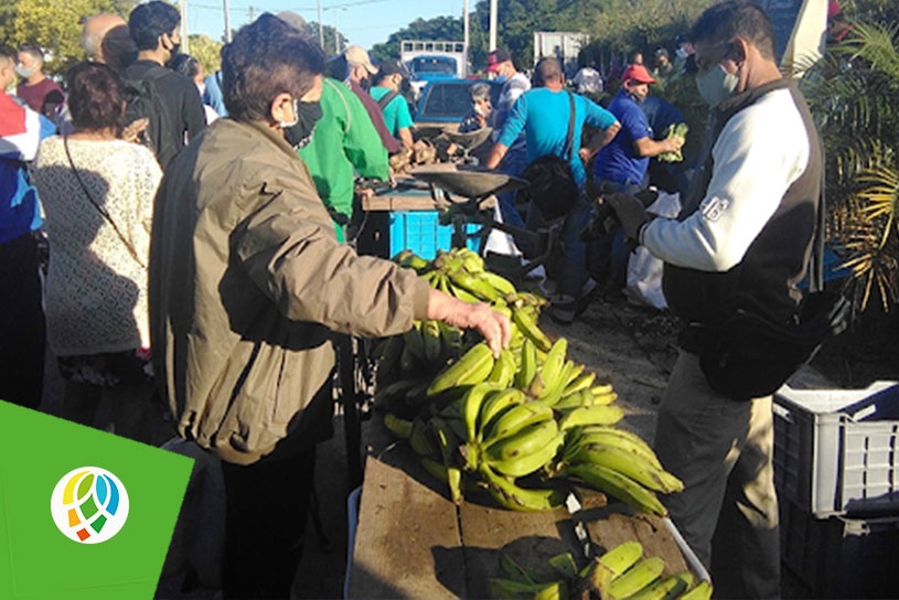 Feria agropecuaria este sábado en Pinar del Río