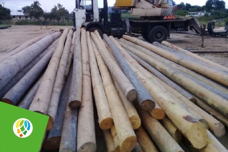 La planta de impregnación de postes, ubicada en el municipio pinareño de Guane, única de su tipo en el país, volverá a trabajar con estabilidad luego de cuatro años de producciones muy limitadas