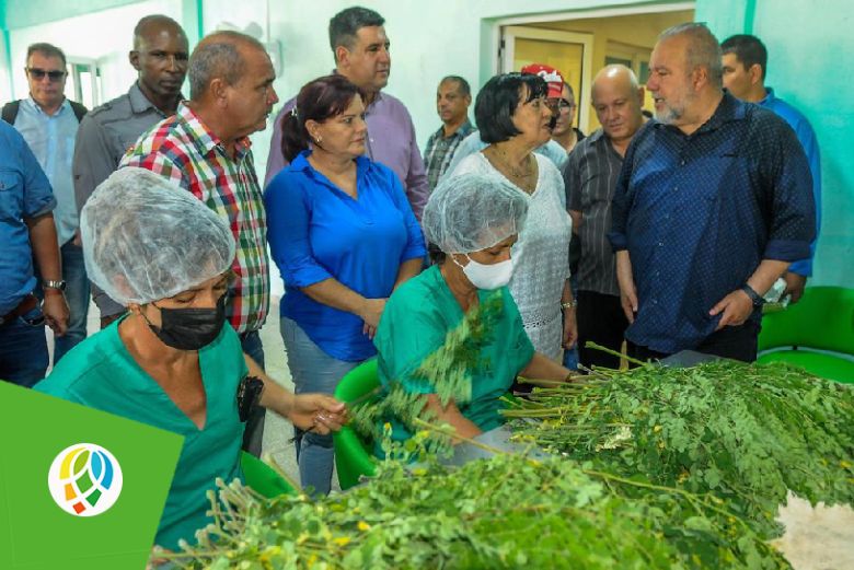 Primer Ministro de Cuba inaugura planta para el procesamiento de polvo de moringa en Pinar del Río
