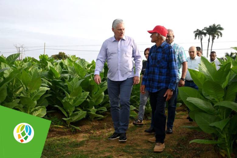 El Primer Secretario del Comité Central del Partido Comunista y Presidente de la República de Cuba, Miguel Díaz-Canel Bermúdez, dio cumplimiento en la mañana de este martes a la novena visita que realiza la dirección del país a municipios a lo largo del archipiélago. Esta vez fue San Luis, en la provincia de Pinar del Río, donde apreciar buenas experienciasconfirmó la certeza de que los grandes desafíos podrán ir quedando atrás.